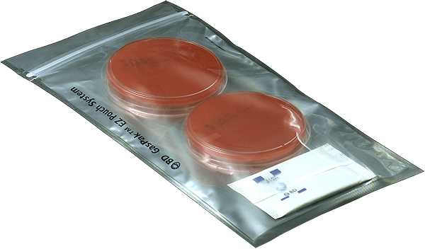 [260683] GasPak EZ anaerobe pouch system, 20 vnt.