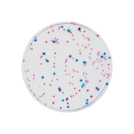 [201401] CHROMagar ECC, 20 plates