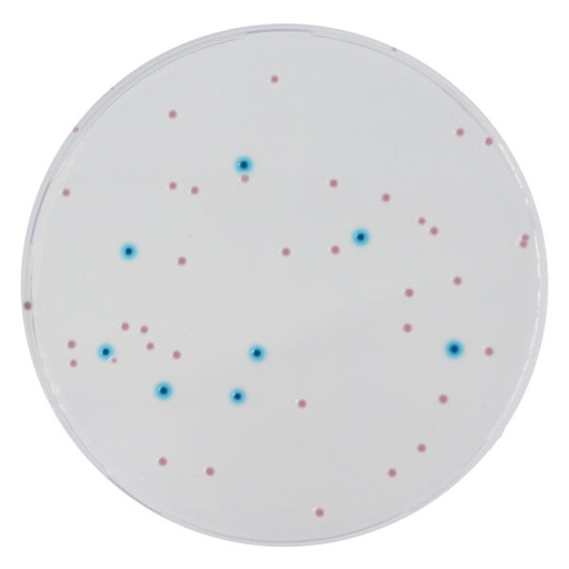 [201426] CHROMagar Enterobacteria, 20 plates