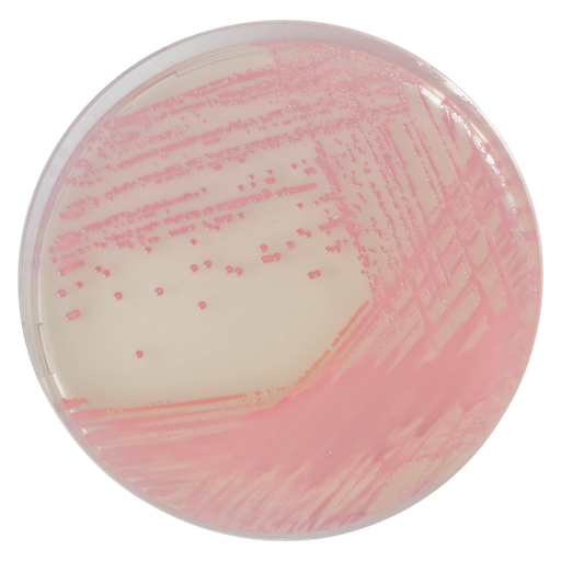 [201402] CHROMagar MRSA, 20 plates