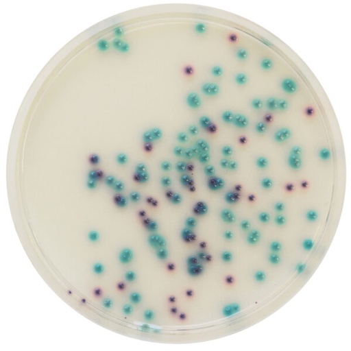 [201480] CHROMagar Pseudomonas, 20 plates