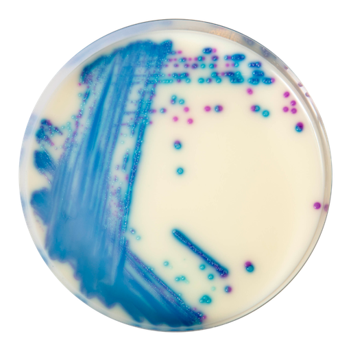 [201460] CHROMagar VRE, 20 Plates