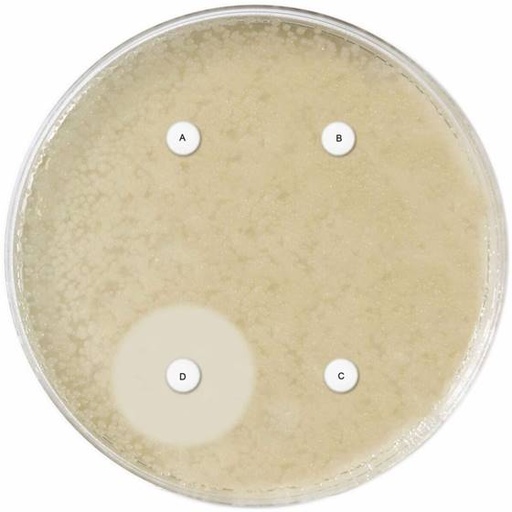[171682] AmpC + ESßL Detection discs Set D68C, 4 cartridges of 50 ID discs each