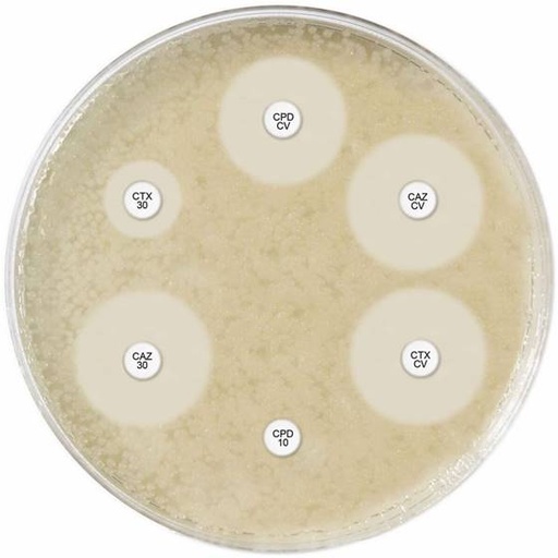 [171692] AmpC Test D69C, 3 cartridges of 50 ID discs each