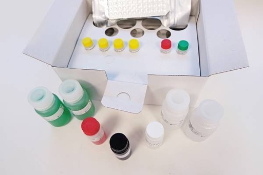 [735013] Anti-Proteinase 3 (c-ANCA, Anti-PR3), 12 x 8 testi